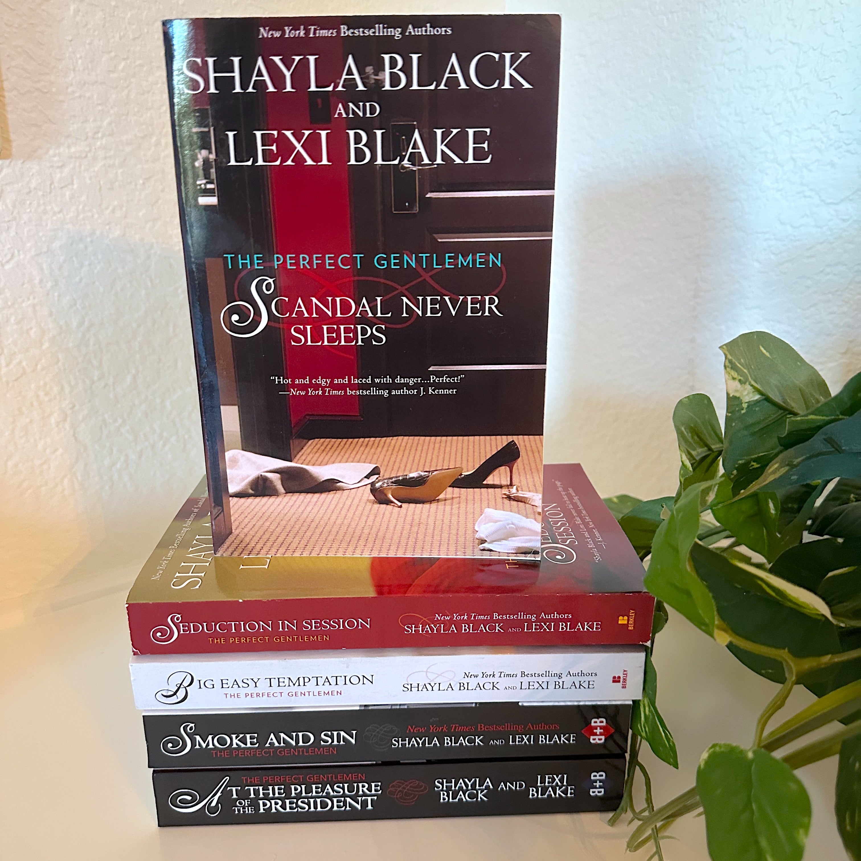 PERFECT GENTLEMEN SPICY BILLIONAIRE BUNDLE